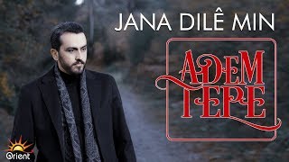 Adem Tepe  Jana Dile Min Official Audio [upl. by Hendricks438]