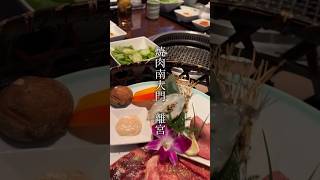 宇都宮 宇都宮市 宇都宮グルメ 栃木県 焼肉 栃木グルメ [upl. by Scevor]