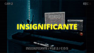 Cecchini  Insignificante Visualizer [upl. by Anecusa]