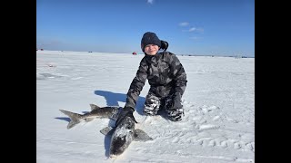 2nd Sturgeon 2024 Lake Winnebago Sturgeon Spearing Season [upl. by Rosenblum]