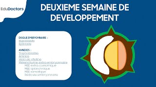 Deuxième semaine de développement embryonnaire  Embryologie générale [upl. by Euqcaj]