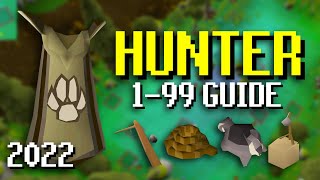 EASY amp FAST 199 Hunter Guide For OSRS 2022 [upl. by Akoyin]