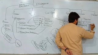 Leishmania  Types of Leishmania  Diagnosis and Treatment of Leishmaniasis [upl. by Krakow]