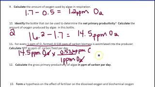 GPP amp NPP Math [upl. by Agostino]