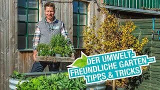 Umweltfreundlich Gärtnern – Tipps und Tricks [upl. by Foster]