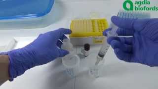 Plant Pathogen ELISA test How to evaluate the results [upl. by Aikkin]