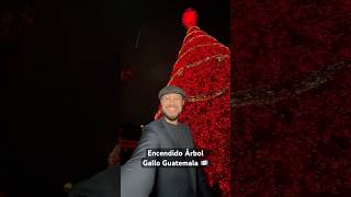 Encendido Árbol Gallo de Navidad en Guatemala 🇬🇹 guatemala guate ciudaddeguatemala navidad [upl. by Brok681]