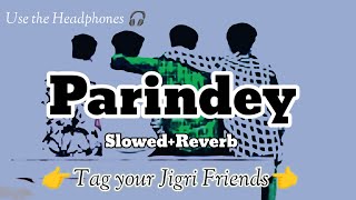 Parindey Yaar Slowed Reverb song  Haryanvi Lofi song  BH LOFI  Tag Your Jigri Friends [upl. by Ryun]