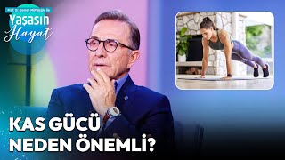 Ne Zaman Nasıl Egzersizler Yapmalıyız  Osman Müftüoğlu ile Yaşasın Hayat [upl. by Dorahs]