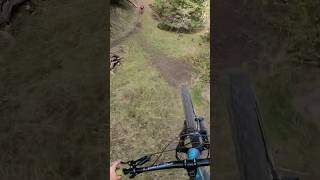 Hamburger hill 🍔viralvideo mtb fyp [upl. by Jeuz85]