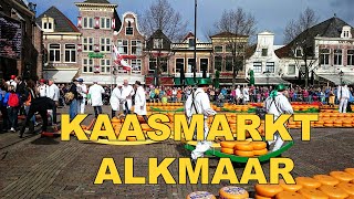 Kaasmarkt Alkmaar  24 mei 2024 [upl. by Kirstyn745]