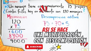 Multiplicaciones de 3 x 2 cifras  Descomposición numérica [upl. by Nahte670]