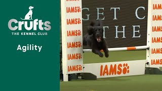 Agility Championships – SmallMedium Agility Part 1  Crufts 2023 [upl. by Lean393]