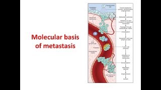 Metastasis Molecular Basis [upl. by Zita]