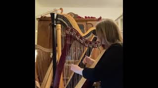 How does this harp sound [upl. by Retnuh]