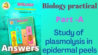 Study of plasmolysis in epidermal peels Class 12 biology practical experiment 2 answers [upl. by Ches]