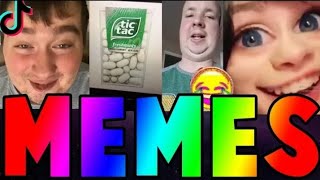 BEST IRONIC TIK TOK MEMES COMPILATION V1 [upl. by Notffilc937]