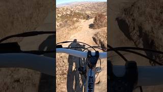 My Hardtail Is Keeping Up 😳 shorts downhill mtb [upl. by Kirst]