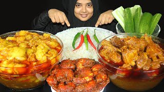 MUTTON ROGAN JOSH CURRY SPICY OILY MUTTON FAT CURRY SHRIMP FISH CURRY MUTTON EATING BIG BITES [upl. by Safier]