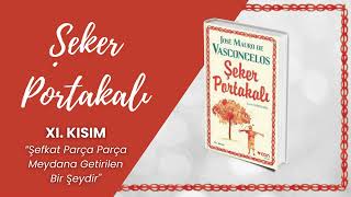 Şeker Portakalı Sesli Kitap  11 BÖLÜM  Jose Mauro de Vasconcelos [upl. by Adlee785]