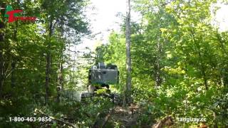 Abatteuse Timberpro TL735B Feller Buncher Machinerie Tanguay [upl. by Berey789]