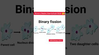 binary fission kise kahate Hain 🤔😱 MSK Biologyshorts [upl. by Phila]