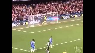 Papiss Cisse Stunning Goal Vs Chelsea [upl. by Ardie960]