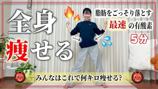 【ダイエット】これで正月太り消滅‼︎どんどん脂肪燃焼して全身痩せる有酸素運動🔥 [upl. by Erbma132]