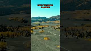 Fall Colors Sheep Valley Road  Fishlake National Forest drone outdoors [upl. by Willock]