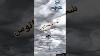 سُحب الماماتوس [upl. by Aitret]