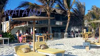 Inside watamu Kenyan Beaches Raw and unfilteredVlog 2024 [upl. by Schramke494]