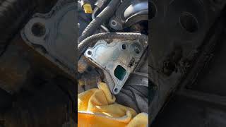 Oil filter housing gasket replacement on a bmw 20132018 [upl. by Eleni]