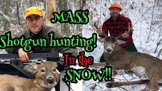 Massachusetts Shotgun hunting IN THE SNOW 2019 [upl. by Leund]