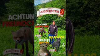 Die Schule der magischen Tiere 3 Der Film [upl. by Geer]