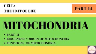 MITOCHONDRIA  BIOGENESIS AND FUNCTIONS OF MITOCHONDRIA  PART14  CELL THE UNIT OF LIFE [upl. by Tabber97]