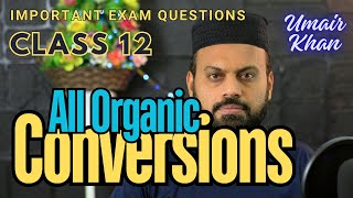 All Organic Chemistry Conversions in one shot for Class 12 [upl. by Ihp]