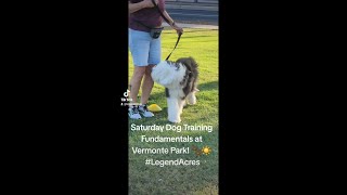 Saturday Dog Training Fundamentals at Veramonte Park Legend Acres [upl. by Valleau]