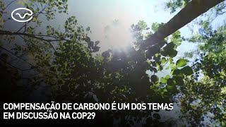 Compensação de carbono é um dos temas em discussão na Cop29 [upl. by Roee486]