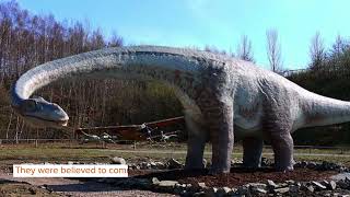 Did You Know Incredible Seismosaurus Facts [upl. by Teraj]