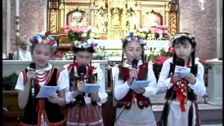 Divine Mercy Sunday 2014  Thanksgiving for Canonization of Pope St John Paul II  Part II [upl. by Arobed]