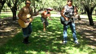 Creedence clearwater revival Green river cover Fandercats [upl. by Nananne]