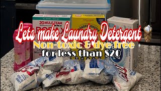 LET MAKE A YEAR WORTH OF LAUNDRY DETERGENT 🧺 [upl. by Nelie972]