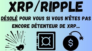 👉RippleXRP PayPal aura son stable coin  David Schwartz AMM  Crédit Carbonne Partenariat  Ripple [upl. by Gorlin]