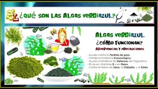 Algas verdiazul Espirulina Remedios para perder peso fortalecer las defensas del Organismo [upl. by Einnad]