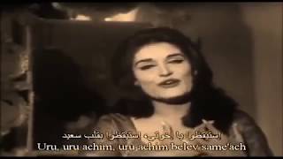 Hava nagila הבא נגילה هافا ناجيلا [upl. by Ainat]