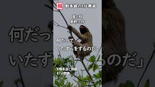 【1分朗読】『夢野久作／蚤と蚊』語り：椙本滋 短編 ショートショート 文学 随筆 おすすめ 名作 青空文庫 ナレーション 俳優の朗読 short 椙本滋の１分朗読 椙本滋と朗読 [upl. by Sibylle124]