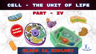 Cell  The Unit Of Life  PART  IV class 11 Biology  NCERT  COHSEM  CBSE [upl. by Elset]