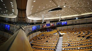 Elezioni Trump il Parlamento europeo apre al dialogo ma preoccupano i dazi [upl. by Amaris922]