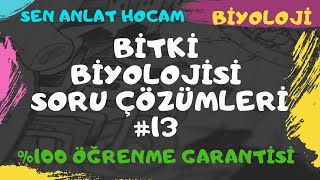 BİTKİ BİYOLOJİSİ SORU ÇÖZÜMLERİ 13  AYT BİYOLOJİ  ✅ [upl. by Megen]