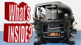 Whats inside a Refrigerator Compressor [upl. by Agon]